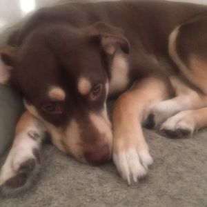 Meet your Posher, Rachel